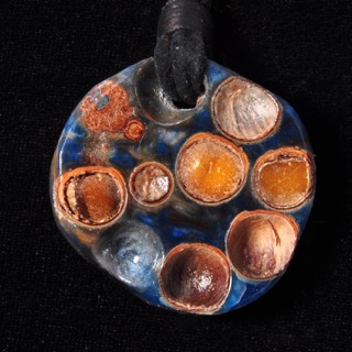 Acrylic with Seeds Necklace